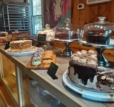 leaping-lizard-cafe-photo_12